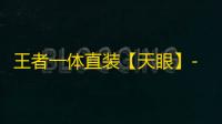 王者一体直装【天眼】-