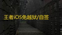 王者iOS免越狱/自签【王者荣耀内部】辅助